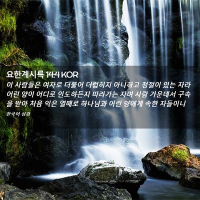 Picture 02 - 요한계시록 14:4 KOR - 이 사람들은 여자로 더불어 더럽히지 - Bible Verse Picture