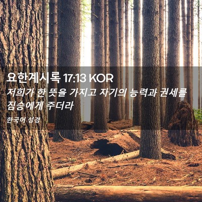 Picture 02 - 요한계시록 17:13 KOR - 저희가 한 뜻을 가지고 자기의 - Bible Verse Picture