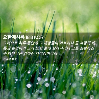 Picture 02 - 요한계시록 18:8 KOR - 그러므로 하루 동안에 그 재앙들이 - Bible Verse Picture
