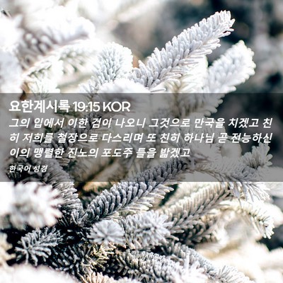 Picture 02 - 요한계시록 19:15 KOR - 그의 입에서 이한 검이 나오니 - Bible Verse Picture