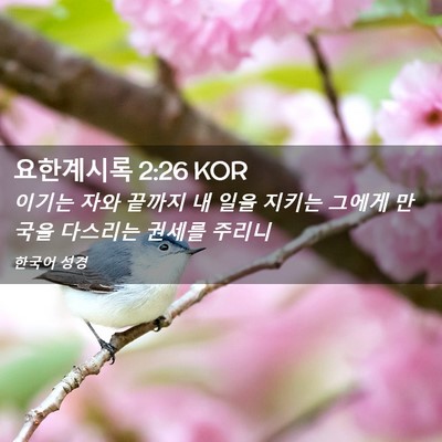 Picture 02 - 요한계시록 2:26 KOR - 이기는 자와 끝까지 내 일을 지키는 - Bible Verse Picture