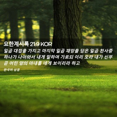 Picture 02 - 요한계시록 21:9 KOR - 일곱 대접을 가지고 마지막 일곱 - Bible Verse Picture