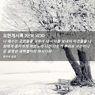 Picture 02 - 요한계시록 22:16 KOR - 나 예수는 교회들을 위하여 내 - Bible Verse Picture