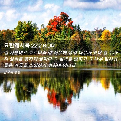 Picture 02 - 요한계시록 22:2 KOR - 길 가운데로 흐르더라 강 좌우에 - Bible Verse Picture