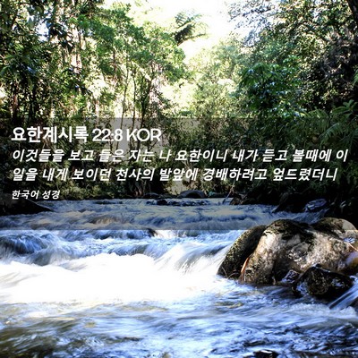 Picture 02 - 요한계시록 22:8 KOR - 이것들을 보고 들은 자는 나 - Bible Verse Picture
