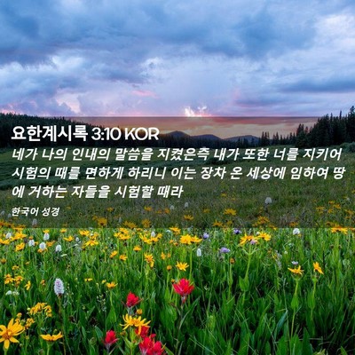 Picture 02 - 요한계시록 3:10 KOR - 네가 나의 인내의 말씀을 지켰은즉 - Bible Verse Picture