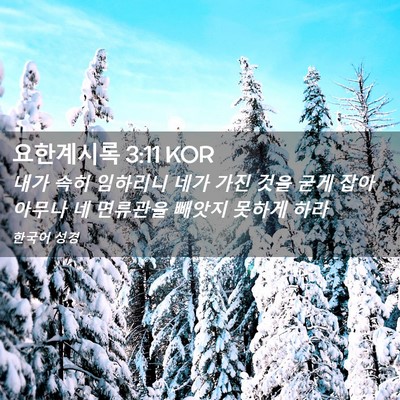 Picture 02 - 요한계시록 3:11 KOR - 내가 속히 임하리니 네가 가진 것을 - Bible Verse Picture