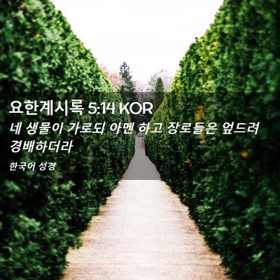 Picture 02 - 요한계시록 5:14 KOR - 네 생물이 가로되 아멘 하고 - Bible Verse Picture