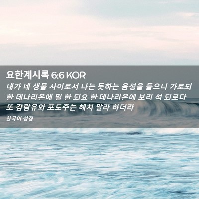 Picture 02 - 요한계시록 6:6 KOR - 내가 네 생물 사이로서 나는 듯하는 - Bible Verse Picture