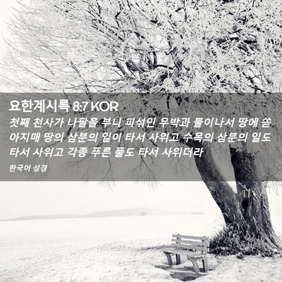 Picture 02 - 요한계시록 8:7 KOR - 첫째 천사가 나팔을 부니 피섞인 - Bible Verse Picture