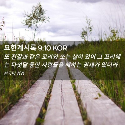 Picture 02 - 요한계시록 9:10 KOR - 또 전갈과 같은 꼬리와 쏘는 살이 - Bible Verse Picture
