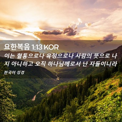 Picture 02 - 요한복음 1:13 KOR - 이는 혈통으로나 육정으로나 사람의 - Bible Verse Picture