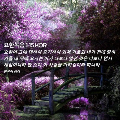 Picture 02 - 요한복음 1:15 KOR - 요한이 그에 대하여 증거하여 외쳐 - Bible Verse Picture