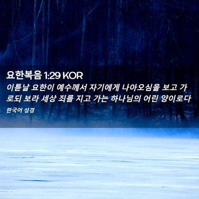 Picture 02 - 요한복음 1:29 KOR - 이튿날 요한이 예수께서 자기에게 - Bible Verse Picture