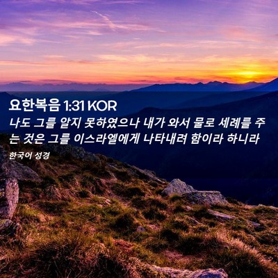 Picture 02 - 요한복음 1:31 KOR - 나도 그를 알지 못하였으나 내가 - Bible Verse Picture