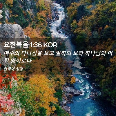 Picture 02 - 요한복음 1:36 KOR - 예수의 다니심을 보고 말하되 보라 - Bible Verse Picture