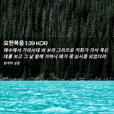 Picture 02 - 요한복음 1:39 KOR - 예수께서 가라사대 와 보라 그러므로 - Bible Verse Picture