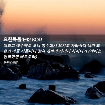 Picture 02 - 요한복음 1:42 KOR - 데리고 예수께로 오니 예수께서 - Bible Verse Picture
