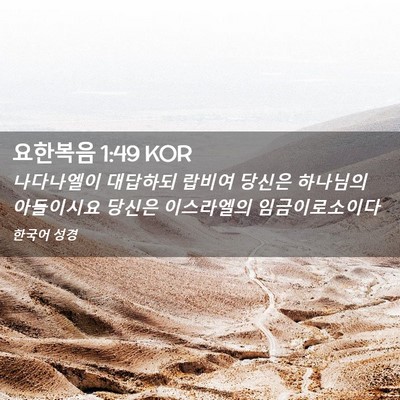 Picture 02 - 요한복음 1:49 KOR - 나다나엘이 대답하되 랍비여 당신은 - Bible Verse Picture