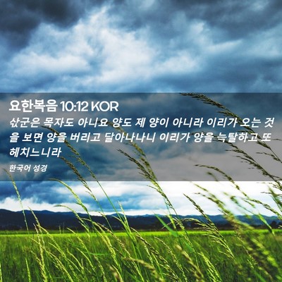 Picture 02 - 요한복음 10:12 KOR - 삯군은 목자도 아니요 양도 제 양이 - Bible Verse Picture