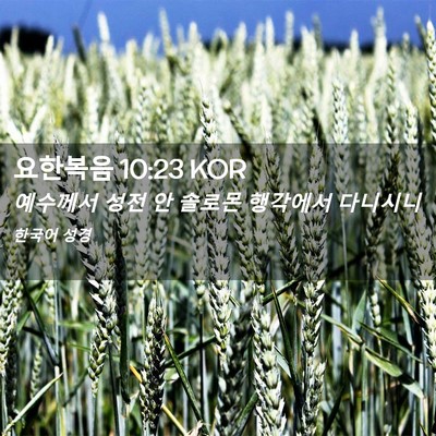 Picture 02 - 요한복음 10:23 KOR - 예수께서 성전 안 솔로몬 행각에서 - Bible Verse Picture