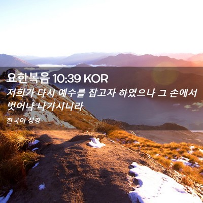 Picture 02 - 요한복음 10:39 KOR - 저희가 다시 예수를 잡고자 하였으나 - Bible Verse Picture