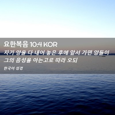 Picture 02 - 요한복음 10:4 KOR - 자기 양을 다 내어 놓은 후에 앞서 - Bible Verse Picture