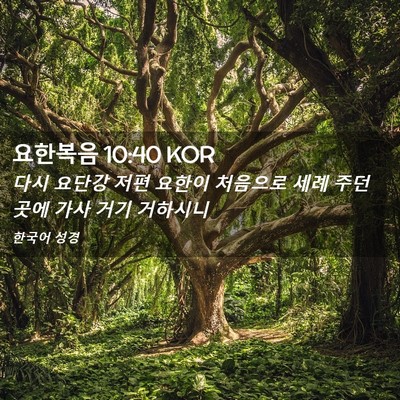 Picture 02 - 요한복음 10:40 KOR - 다시 요단강 저편 요한이 처음으로 - Bible Verse Picture
