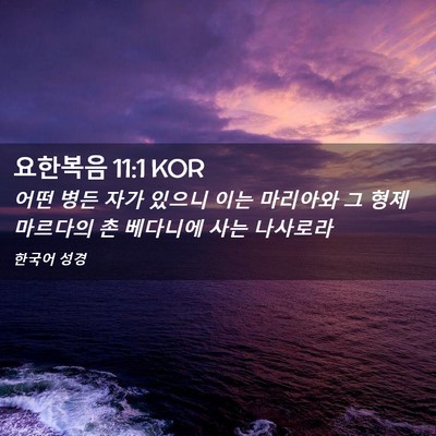 Picture 02 - 요한복음 11:1 KOR - 어떤 병든 자가 있으니 이는 - Bible Verse Picture
