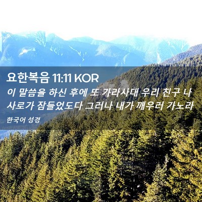 Picture 02 - 요한복음 11:11 KOR - 이 말씀을 하신 후에 또 가라사대 - Bible Verse Picture