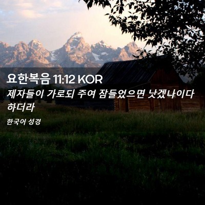 Picture 02 - 요한복음 11:12 KOR - 제자들이 가로되 주여 잠들었으면 - Bible Verse Picture