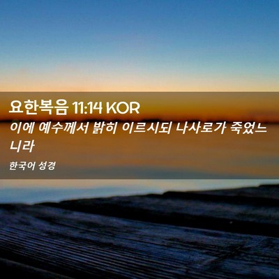 Picture 02 - 요한복음 11:14 KOR - 이에 예수께서 밝히 이르시되 - Bible Verse Picture