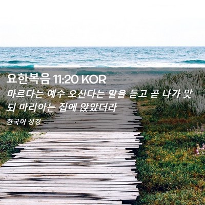 Picture 02 - 요한복음 11:20 KOR - 마르다는 예수 오신다는 말을 듣고 - Bible Verse Picture