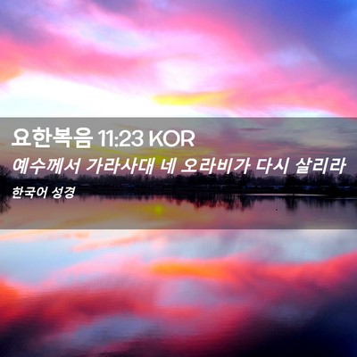 Picture 02 - 요한복음 11:23 KOR - 예수께서 가라사대 네 오라비가 다시 - Bible Verse Picture