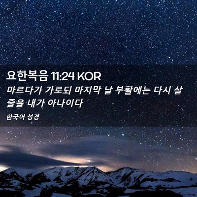 Picture 02 - 요한복음 11:24 KOR - 마르다가 가로되 마지막 날 부활에는 - Bible Verse Picture