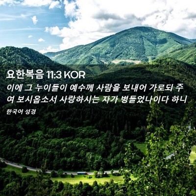 Picture 02 - 요한복음 11:3 KOR - 이에 그 누이들이 예수께 사람을 - Bible Verse Picture