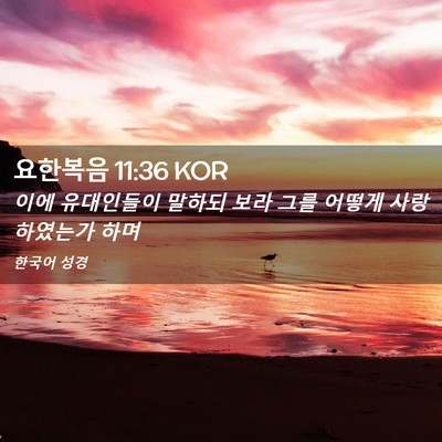 Picture 02 - 요한복음 11:36 KOR - 이에 유대인들이 말하되 보라 그를 - Bible Verse Picture