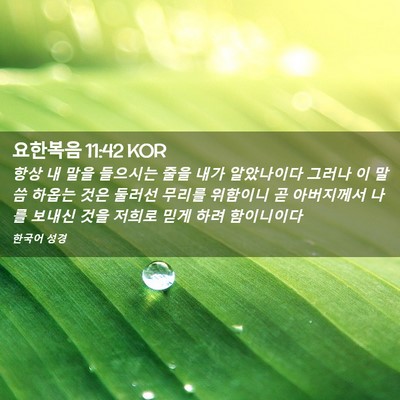 Picture 02 - 요한복음 11:42 KOR - 항상 내 말을 들으시는 줄을 내가 - Bible Verse Picture