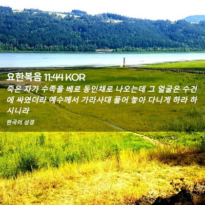 Picture 02 - 요한복음 11:44 KOR - 죽은 자가 수족을 베로 동인채로 - Bible Verse Picture