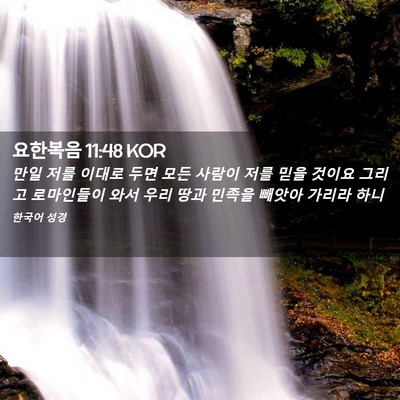 Picture 02 - 요한복음 11:48 KOR - 만일 저를 이대로 두면 모든 사람이 - Bible Verse Picture