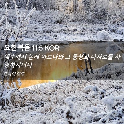 Picture 02 - 요한복음 11:5 KOR - 예수께서 본래 마르다와 그 동생과 - Bible Verse Picture