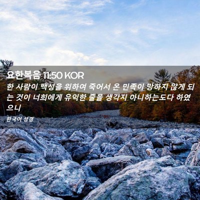 Picture 02 - 요한복음 11:50 KOR - 한 사람이 백성을 위하여 죽어서 온 - Bible Verse Picture
