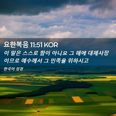Picture 02 - 요한복음 11:51 KOR - 이 말은 스스로 함이 아니요 그 해에 - Bible Verse Picture