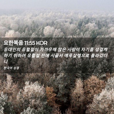 Picture 02 - 요한복음 11:55 KOR - 유대인의 유월절이 가까우매 많은 - Bible Verse Picture