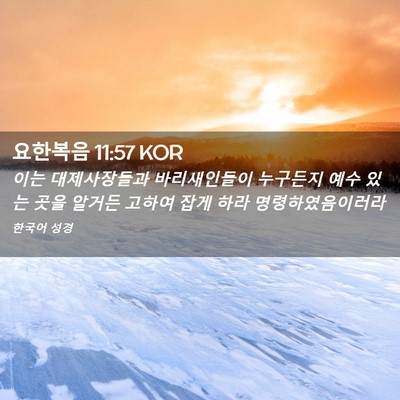 Picture 02 - 요한복음 11:57 KOR - 이는 대제사장들과 바리새인들이 - Bible Verse Picture
