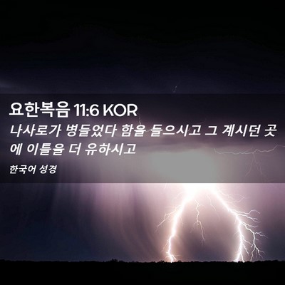 Picture 02 - 요한복음 11:6 KOR - 나사로가 병들었다 함을 들으시고 그 - Bible Verse Picture