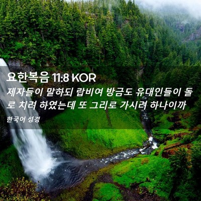 Picture 02 - 요한복음 11:8 KOR - 제자들이 말하되 랍비여 방금도 - Bible Verse Picture