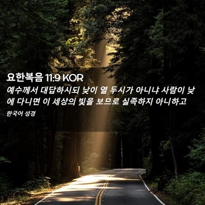 Picture 02 - 요한복음 11:9 KOR - 예수께서 대답하시되 낮이 열 두시가 - Bible Verse Picture