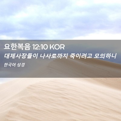Picture 02 - 요한복음 12:10 KOR - 대제사장들이 나사로까지 죽이려고 - Bible Verse Picture