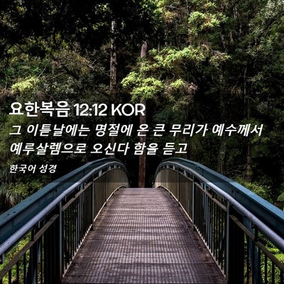 Picture 02 - 요한복음 12:12 KOR - 그 이튿날에는 명절에 온 큰 무리가 - Bible Verse Picture